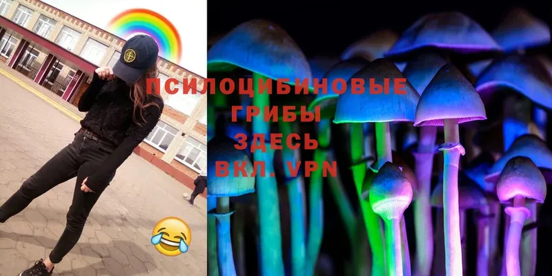 Псилоцибиновые грибы Magic Shrooms Барыш