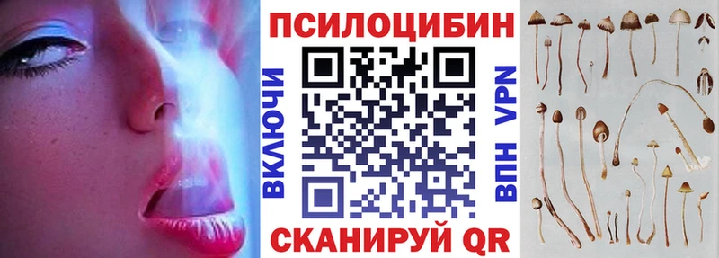 как найти закладки  Барыш  Галлюциногенные грибы Psilocybine cubensis 