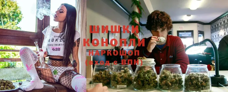 Бошки марихуана Ganja  купить наркотик  Барыш 